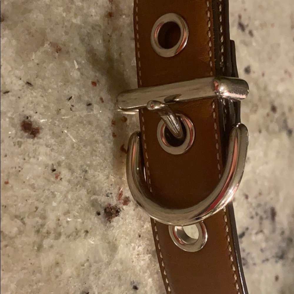 Coach brown belt